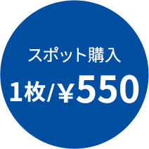 スポット購入1枚/￥550